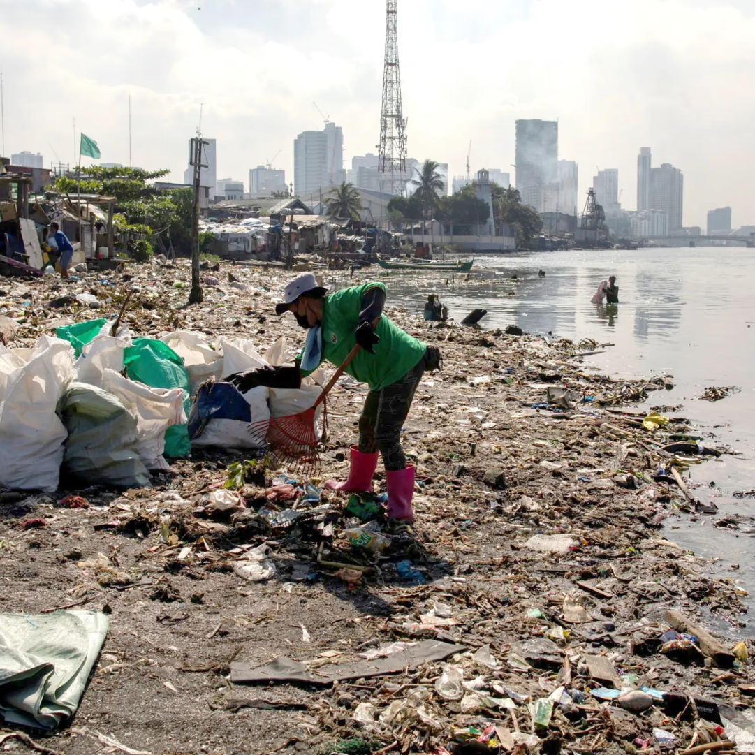 Step 1: 수거 활동